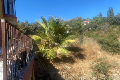 38e838c01a1cf932838a64b842251541 - 25