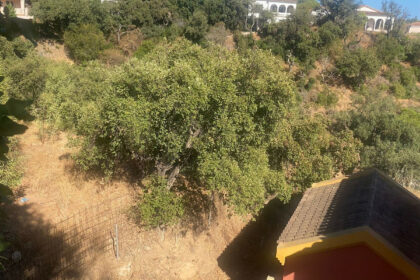 38e838c01a1cf932838a64b842251541 - 29