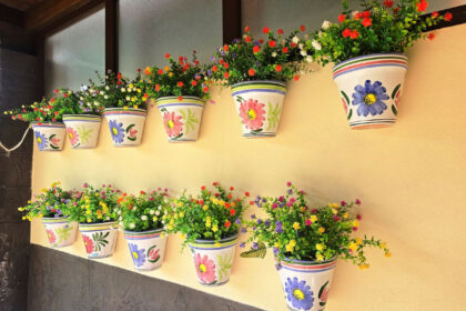 391c08e2180a43beba8c84f52e34170c - 13