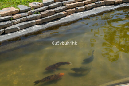 396c3baad296bc0bffd4c9d22abf21d1 - 20