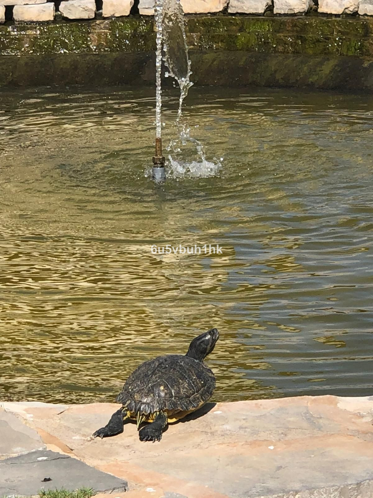 396c3baad296bc0bffd4c9d22abf21d1 - 21