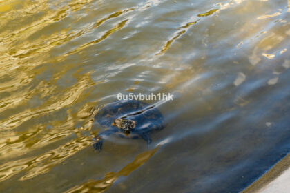 396c3baad296bc0bffd4c9d22abf21d1 - 35