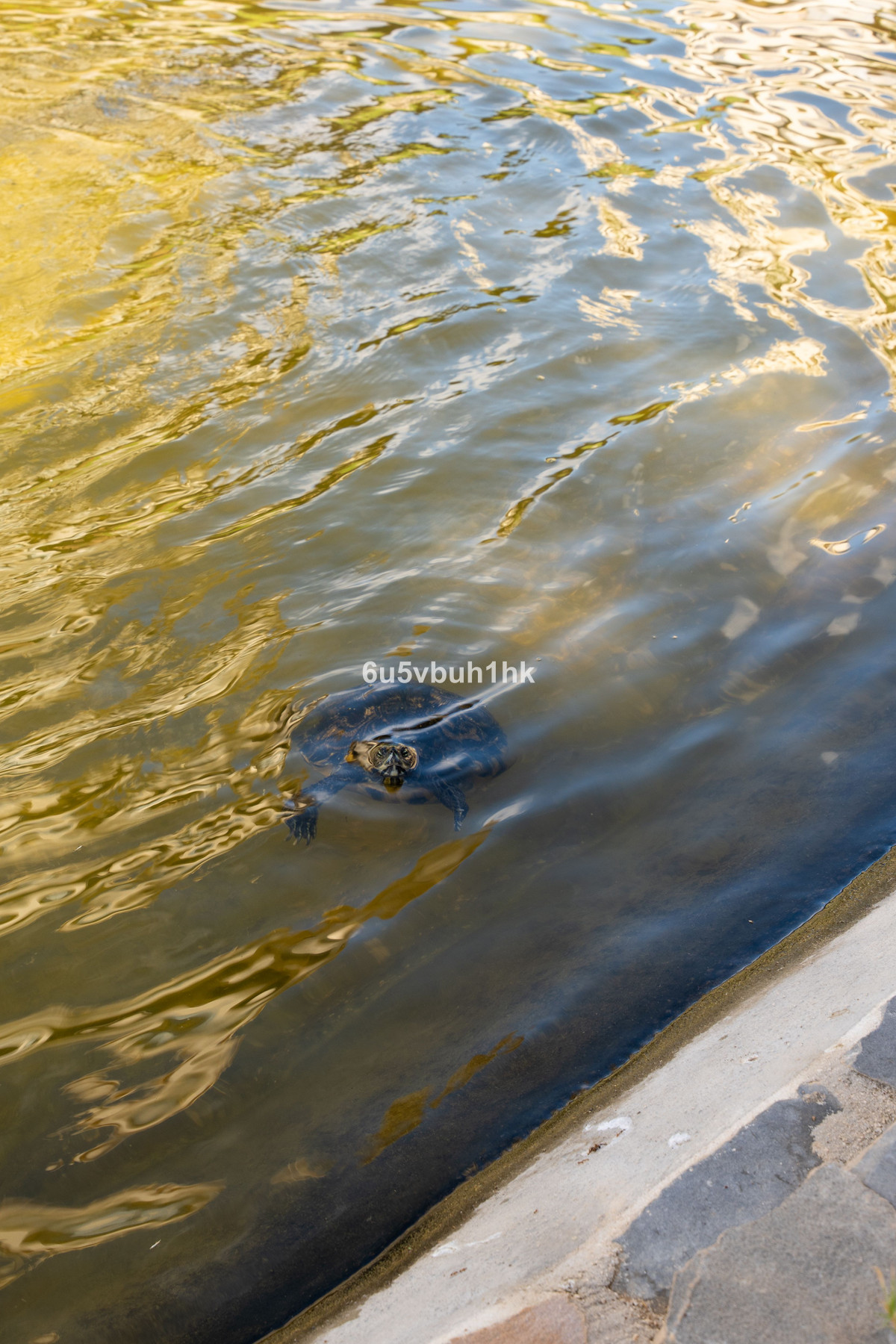 396c3baad296bc0bffd4c9d22abf21d1 - 35