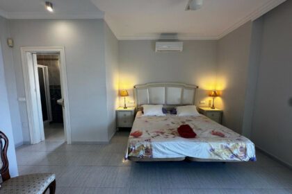 3a4fa1ed52cdf24beee46222317656fb - 30