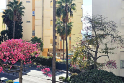 3b270ba141b24c52d95aea2a0dabad23 - 1