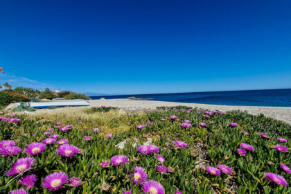 3c4834efb80e3c719aea2d5c5f6e08ad - 37