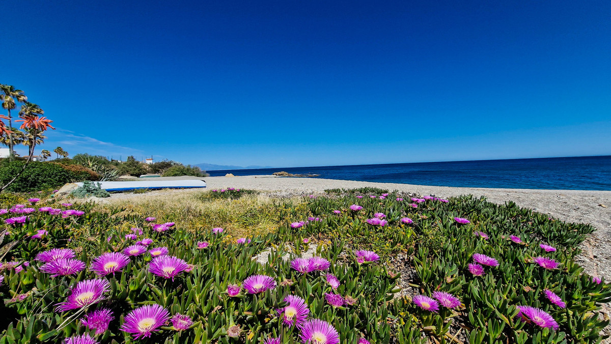 3c4834efb80e3c719aea2d5c5f6e08ad - 37