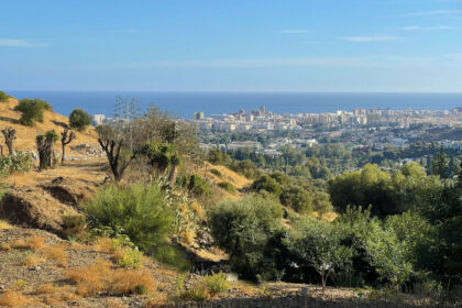 3cdf3a394aec26e76f7968f788920a47 - 1