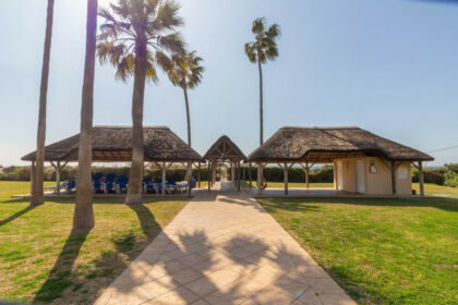 3d47c8a1cdae5b42e2064ec02a210675 - 24