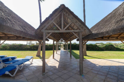 3d47c8a1cdae5b42e2064ec02a210675 - 25