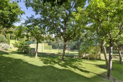 3df799c2eab45b9544448184d8158cda - 24