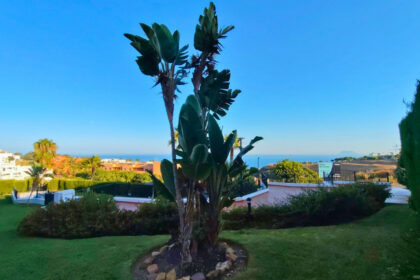 3f0af76dabaaf9444b41dfe5da04de2f - 33