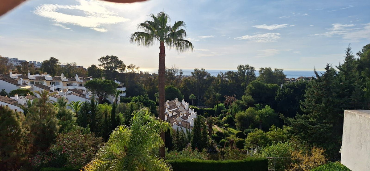 3f1f58df78c6b694b5c1d5b691383157 - 29