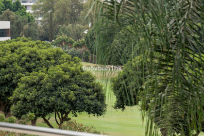 408588719fc1483de92de7017ba07756 - 39