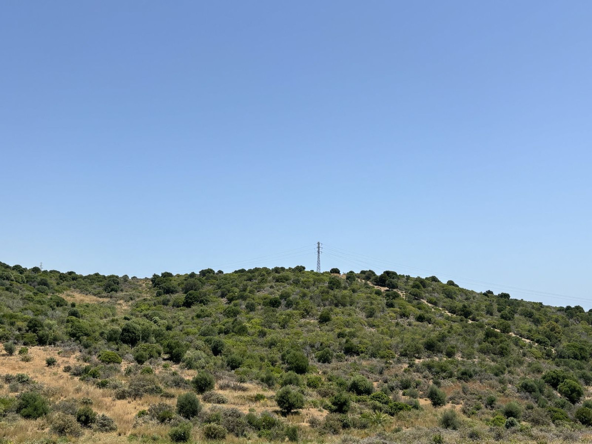 40886260417c04fb5e1b0560fb4c3bed - 34