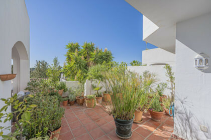 424e0177a0807084873ac23cd7ef9339 - 31