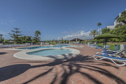 424e0177a0807084873ac23cd7ef9339 - 34