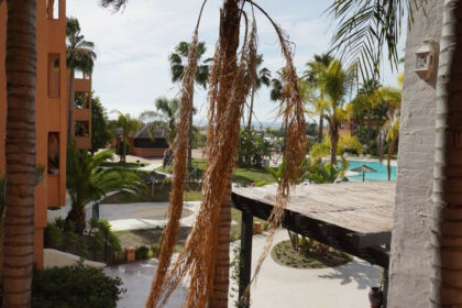 428a5a96867e13354c2e9518684aa4a6 - 7