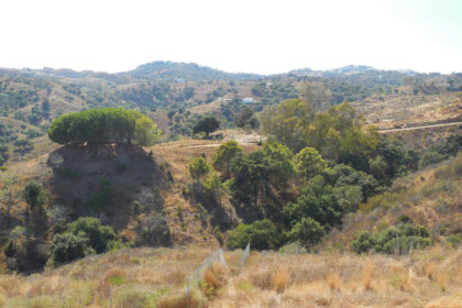 43d562aa58d44c9e7cb22485e4b6a388 - 4