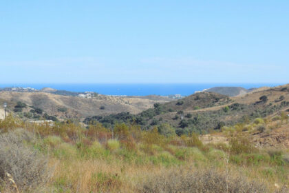 44193a4808e18c563fadfee36cb9af7d - 1