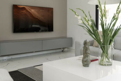 4469de83390484bb6f3a9ad447becb56 - 29