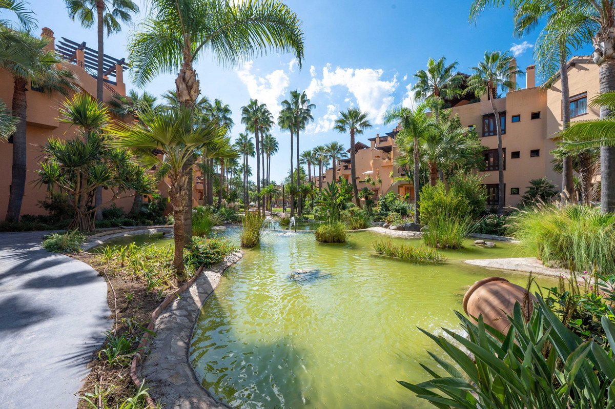 474641faf0695dbd9040aa2c1c0bec49 - 24