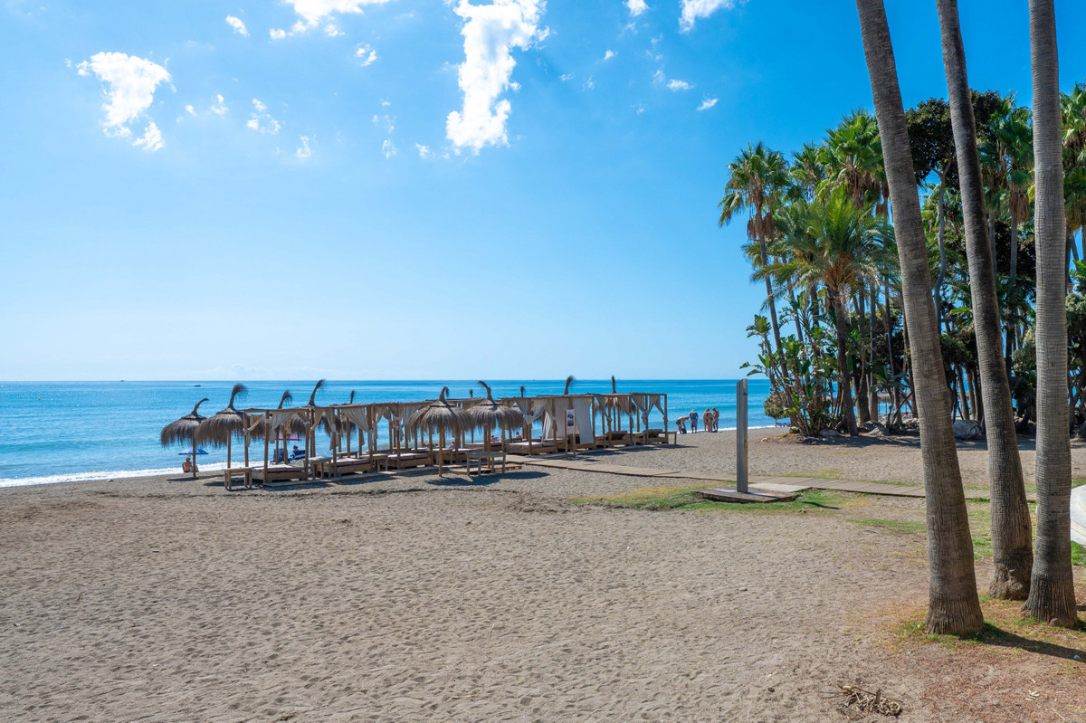 474641faf0695dbd9040aa2c1c0bec49 - 26