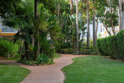 486465f3ee2612cc06acde807121ed01 - 18