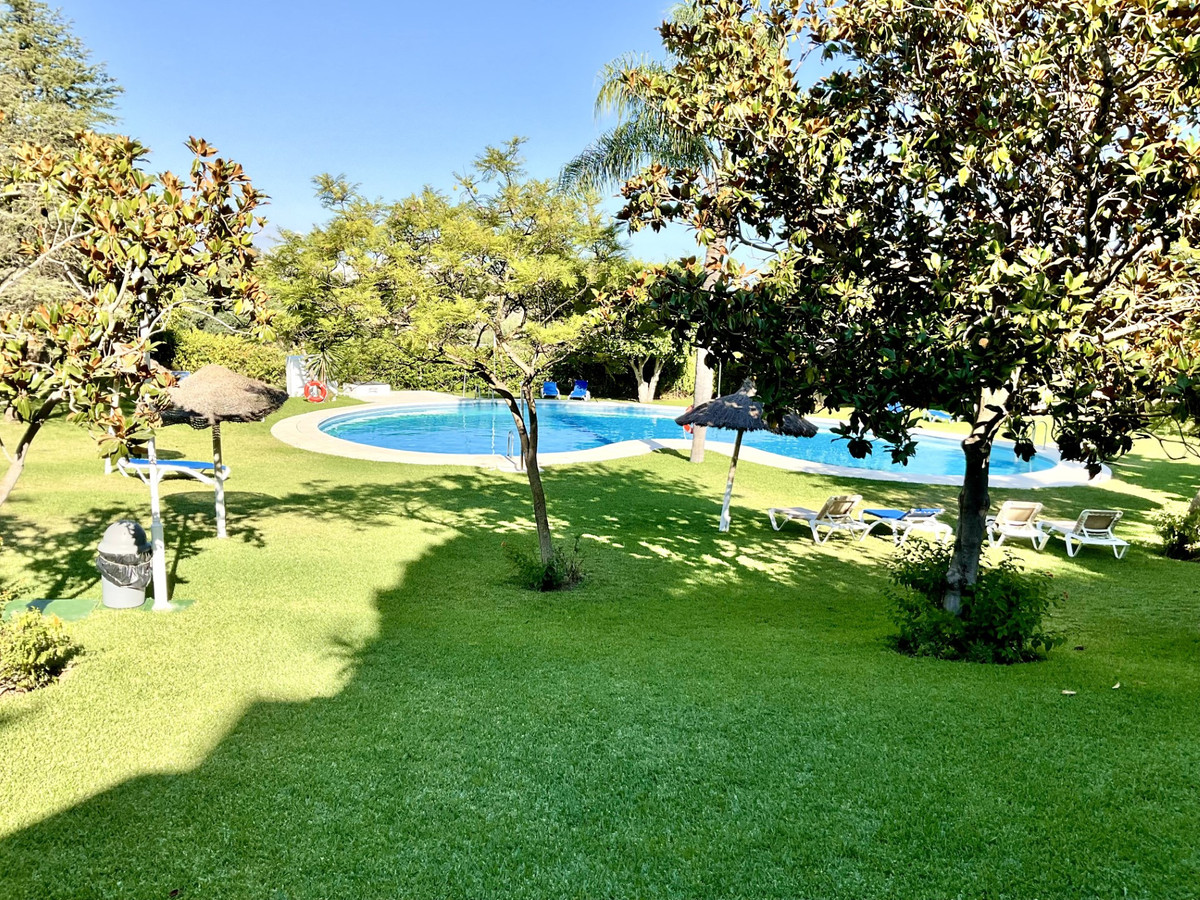 4a95a00a3e33e5d261479080a9c029c1 - 30