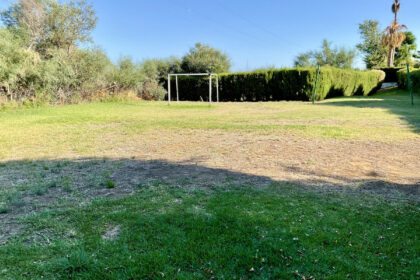 4a95a00a3e33e5d261479080a9c029c1 - 31