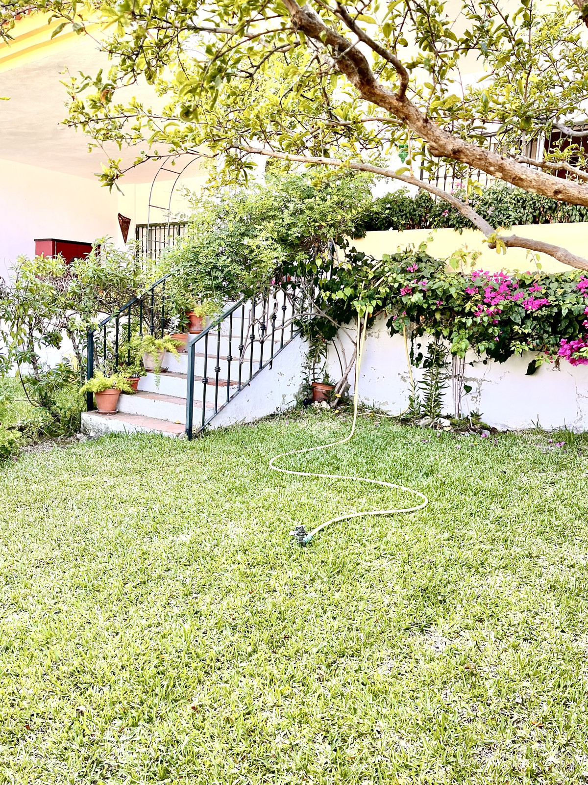 4a95a00a3e33e5d261479080a9c029c1 - 36