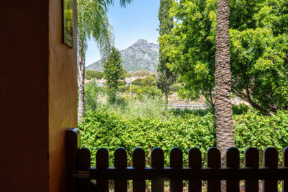 4ab4e11c83e59b7f2921ee2d87426ef6 - 24