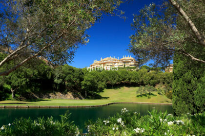 4b38f3b99738e8a15c03a622cd714ced - 31