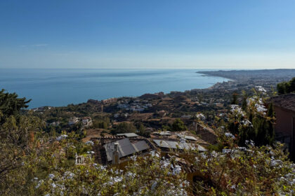 4b6fc21331eaa7f5e5a97bbef2c05428 - 44