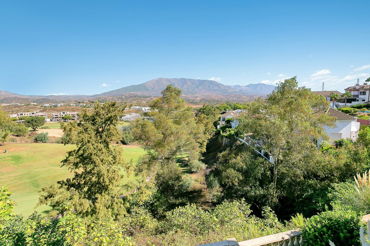 4c7f2b22d38036a653f0930945acb1f0 - 24