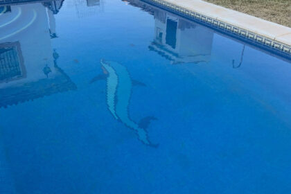 4eb79fd366a6d1e84809b6c322e9313e - 4