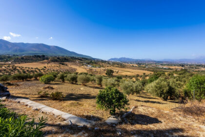 533851f610faf0399a1e3f4ab1ad92cb - 29