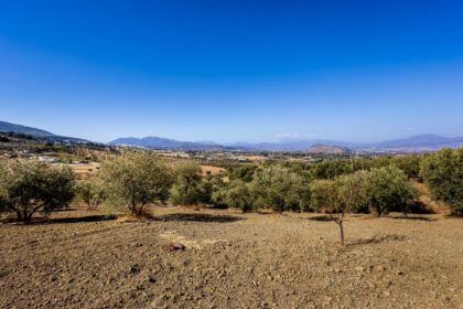 533851f610faf0399a1e3f4ab1ad92cb - 30