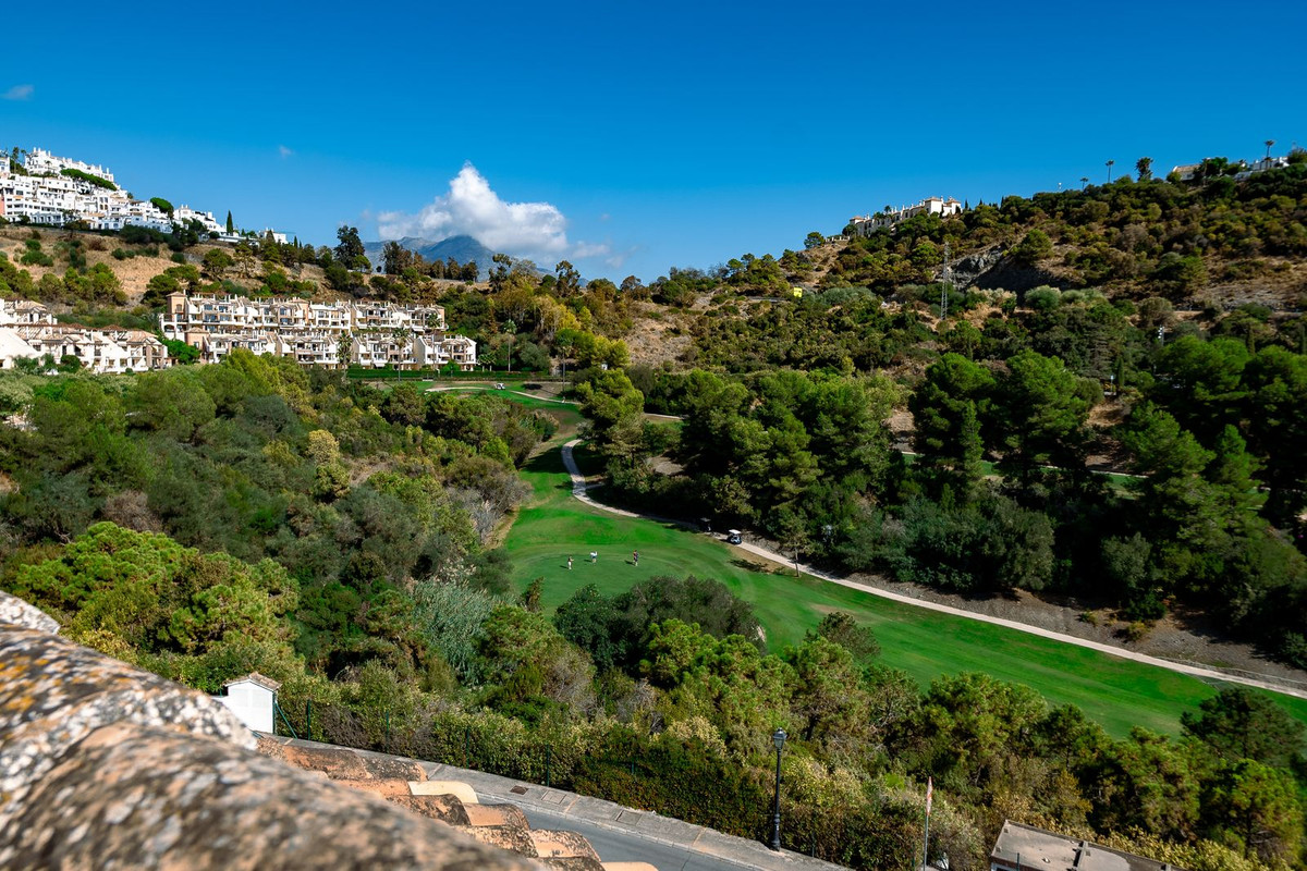 53957aeadd7e4ce1ed546ed120898963 - 16