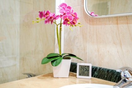 5498168d287fa7f8bd0c56db36d65820 - 22