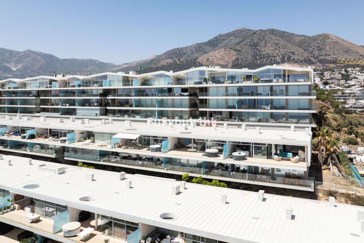 54f337a872bd6288e8cfd3b320a2d71c - 24