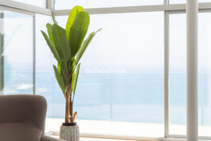 54f337a872bd6288e8cfd3b320a2d71c - 8