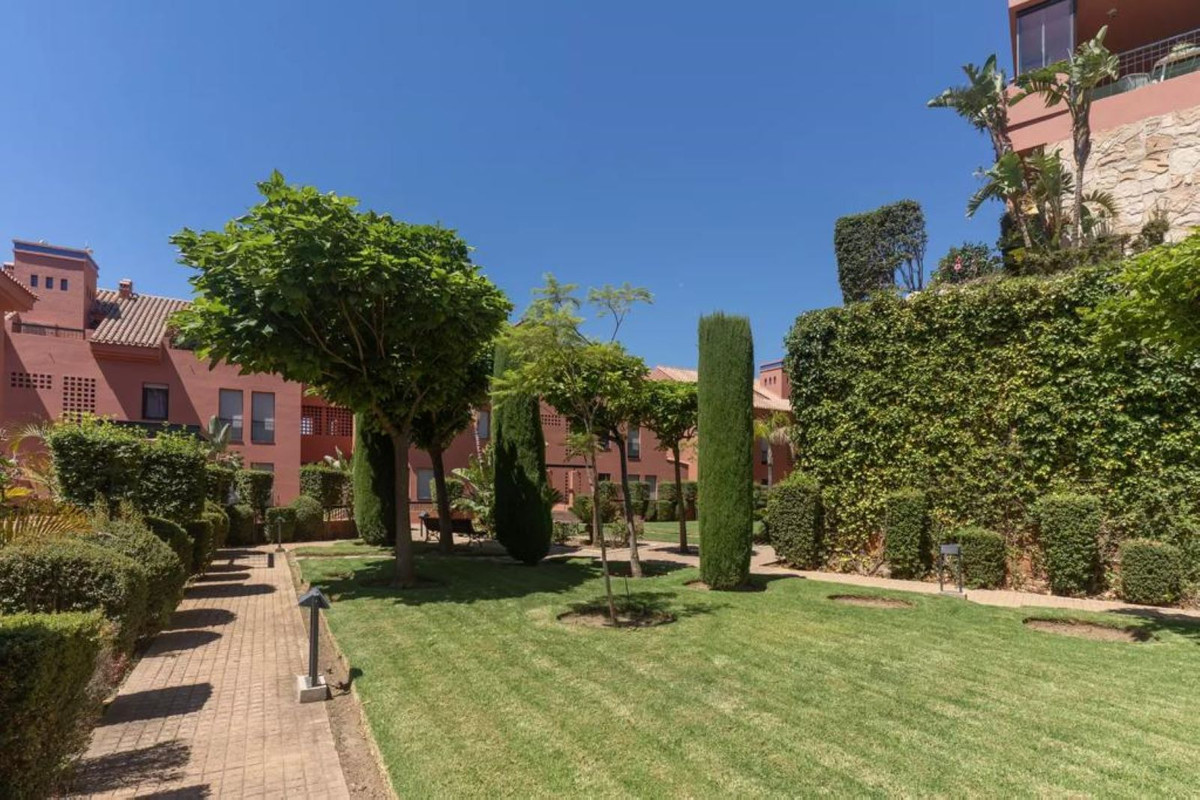 559053d8e4eabb8fc04eec0235bf3d91 - 24