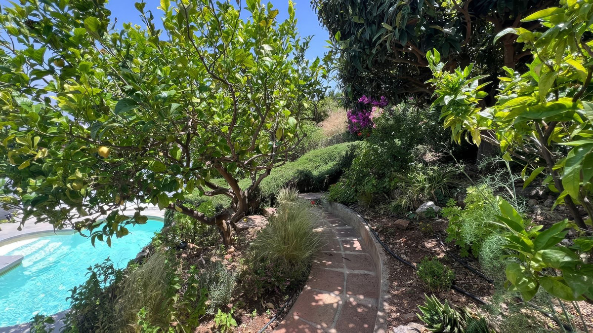 57a5c0107191b6e4c4b0171dbad71d99 - 34