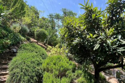 57a5c0107191b6e4c4b0171dbad71d99 - 36