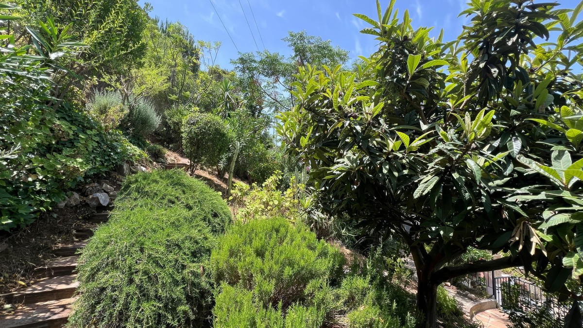 57a5c0107191b6e4c4b0171dbad71d99 - 36