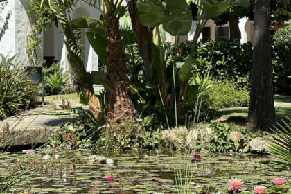 57c6f692f6171686346b4be5b641a7c9 - 24