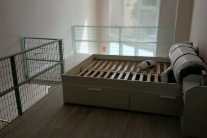 5ae5224d77a08fba587aebeed3394eb4 - 7