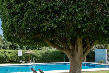 5bc31e76ea370eb97d550dc8b4572012 - 22