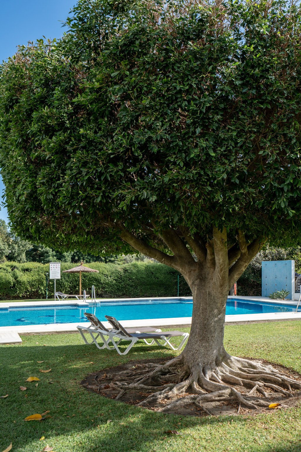 5bc31e76ea370eb97d550dc8b4572012 - 22